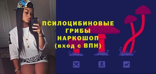 дживик Баксан