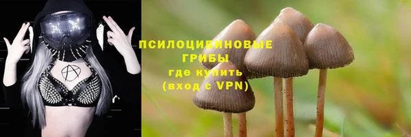 дживик Баксан