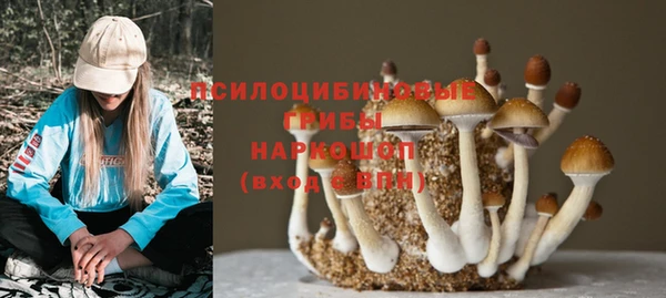 меф Балахна